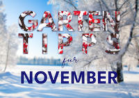 Garten_Tipps_November